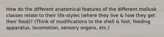 How do the different anatomical features of the different mollusk classes relate to their life-styles (where they live & how they get their food)? (Think of modifications to the shell & foot, feeding apparatus, locomotion, sensory organs, etc.)