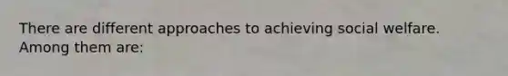 There are different approaches to achieving social welfare. Among them are: