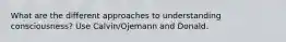 What are the different approaches to understanding consciousness? Use Calvin/Ojemann and Donald.