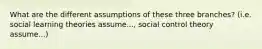 What are the different assumptions of these three branches? (i.e. social learning theories assume..., social control theory assume...)