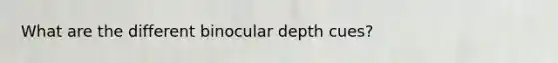 What are the different binocular depth cues?