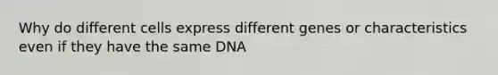 Why do different cells express different genes or characteristics even if they have the same DNA