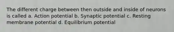 The different charge between then outside and inside of neurons is called a. Action potential b. Synaptic potential c. Resting membrane potential d. Equilibrium potential