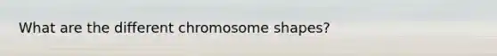 What are the different chromosome shapes?