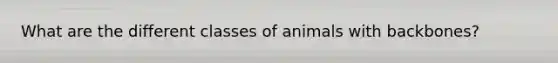 What are the different classes of animals with backbones?