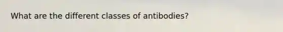 What are the different classes of antibodies?