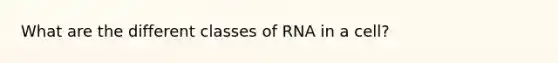 What are the different classes of RNA in a cell?