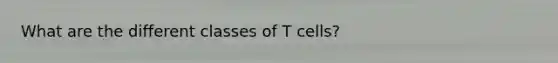 What are the different classes of T cells?