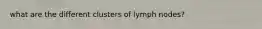 what are the different clusters of lymph nodes?