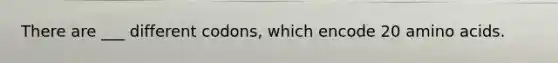 There are ___ different codons, which encode 20 amino acids.