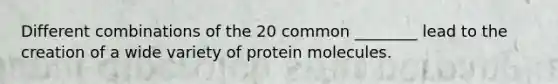 Different combinations of the 20 common ________ lead to the creation of a wide variety of protein molecules.