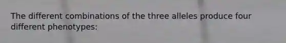 The different combinations of the three alleles produce four different phenotypes: