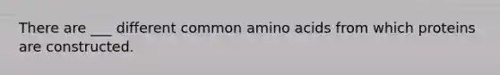 There are ___ different common amino acids from which proteins are constructed.