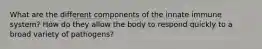 What are the different components of the innate immune system? How do they allow the body to respond quickly to a broad variety of pathogens?