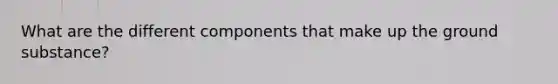 What are the different components that make up the ground substance?