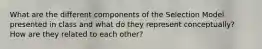 What are the different components of the Selection Model presented in class and what do they represent conceptually? How are they related to each other?