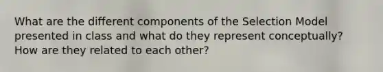 What are the different components of the Selection Model presented in class and what do they represent conceptually? How are they related to each other?