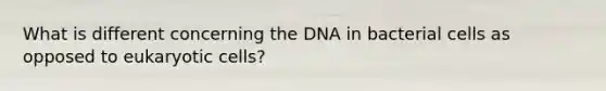 What is different concerning the DNA in bacterial cells as opposed to eukaryotic cells?