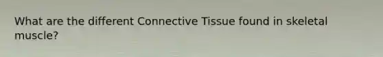 What are the different Connective Tissue found in skeletal muscle?