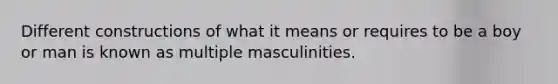 Different constructions of what it means or requires to be a boy or man is known as multiple masculinities.