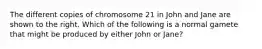 The different copies of chromosome 21 in John and Jane are shown to the right. Which of the following is a normal gamete that might be produced by either John or Jane?