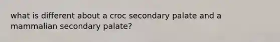 what is different about a croc secondary palate and a mammalian secondary palate?