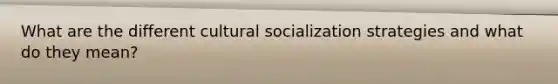 What are the different cultural socialization strategies and what do they mean?