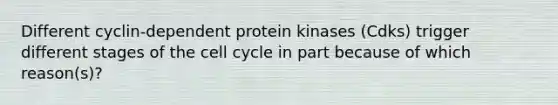 Different cyclin-dependent protein kinases (Cdks) trigger different stages of the <a href='https://www.questionai.com/knowledge/keQNMM7c75-cell-cycle' class='anchor-knowledge'>cell cycle</a> in part because of which reason(s)?