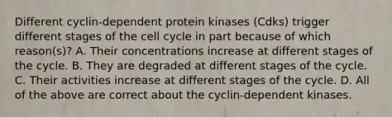 Different cyclin-dependent protein kinases (Cdks) trigger different stages of the cell cycle in part because of which reason(s)? A. Their concentrations increase at different stages of the cycle. B. They are degraded at different stages of the cycle. C. Their activities increase at different stages of the cycle. D. All of the above are correct about the cyclin-dependent kinases.