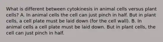 What is different between cytokinesis in animal cells versus plant cells? A. In animal cells the cell can just pinch in half. But in plant cells, a cell plate must be laid down (for the cell wall). B. In animal cells a cell plate must be laid down. But in plant cells, the cell can just pinch in half.