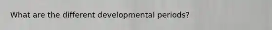 What are the different developmental periods?