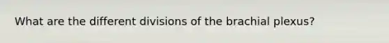 What are the different divisions of the brachial plexus?