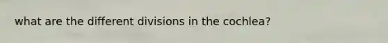 what are the different divisions in the cochlea?