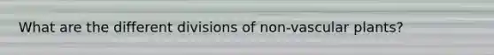 What are the different divisions of non-vascular plants?