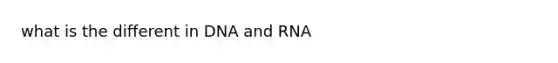 what is the different in DNA and RNA