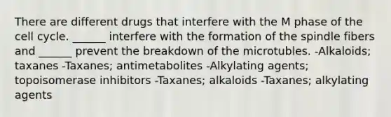 There are different drugs that interfere with the M phase of the cell cycle. ______ interfere with the formation of the spindle fibers and ______ prevent the breakdown of the microtubles. -Alkaloids; taxanes -Taxanes; antimetabolites -Alkylating agents; topoisomerase inhibitors -Taxanes; alkaloids -Taxanes; alkylating agents