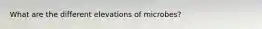 What are the different elevations of microbes?