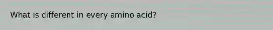 What is different in every amino acid?