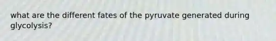 what are the different fates of the pyruvate generated during glycolysis?