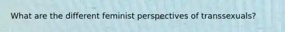 What are the different feminist perspectives of transsexuals?