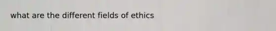 what are the different fields of ethics