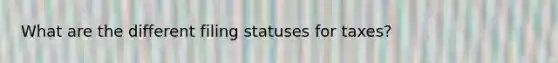 What are the different filing statuses for taxes?