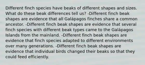 Different finch species have beaks of different shapes and sizes. What do these beak differences tell us? -Different finch beak shapes are evidence that all Galápagos finches share a common ancestor. -Different finch beak shapes are evidence that several finch species with different beak types came to the Galápagos Islands from the mainland. -Different finch beak shapes are evidence that finch species adapted to different environments over many generations. -Different finch beak shapes are evidence that individual birds changed their beaks so that they could feed efficiently.