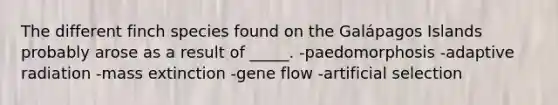 The different finch species found on the Galápagos Islands probably arose as a result of _____. -paedomorphosis -adaptive radiation -mass extinction -gene flow -artificial selection