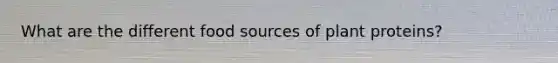 What are the different food sources of plant proteins?