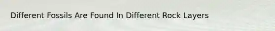 Different Fossils Are Found In Different Rock Layers