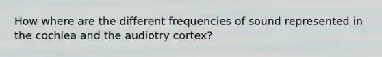 How where are the different frequencies of sound represented in the cochlea and the audiotry cortex?