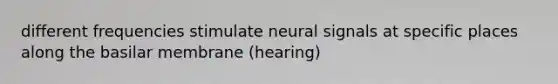 different frequencies stimulate neural signals at specific places along the basilar membrane (hearing)