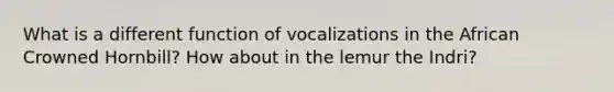 What is a different function of vocalizations in the African Crowned Hornbill? How about in the lemur the Indri?