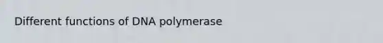 Different functions of DNA polymerase